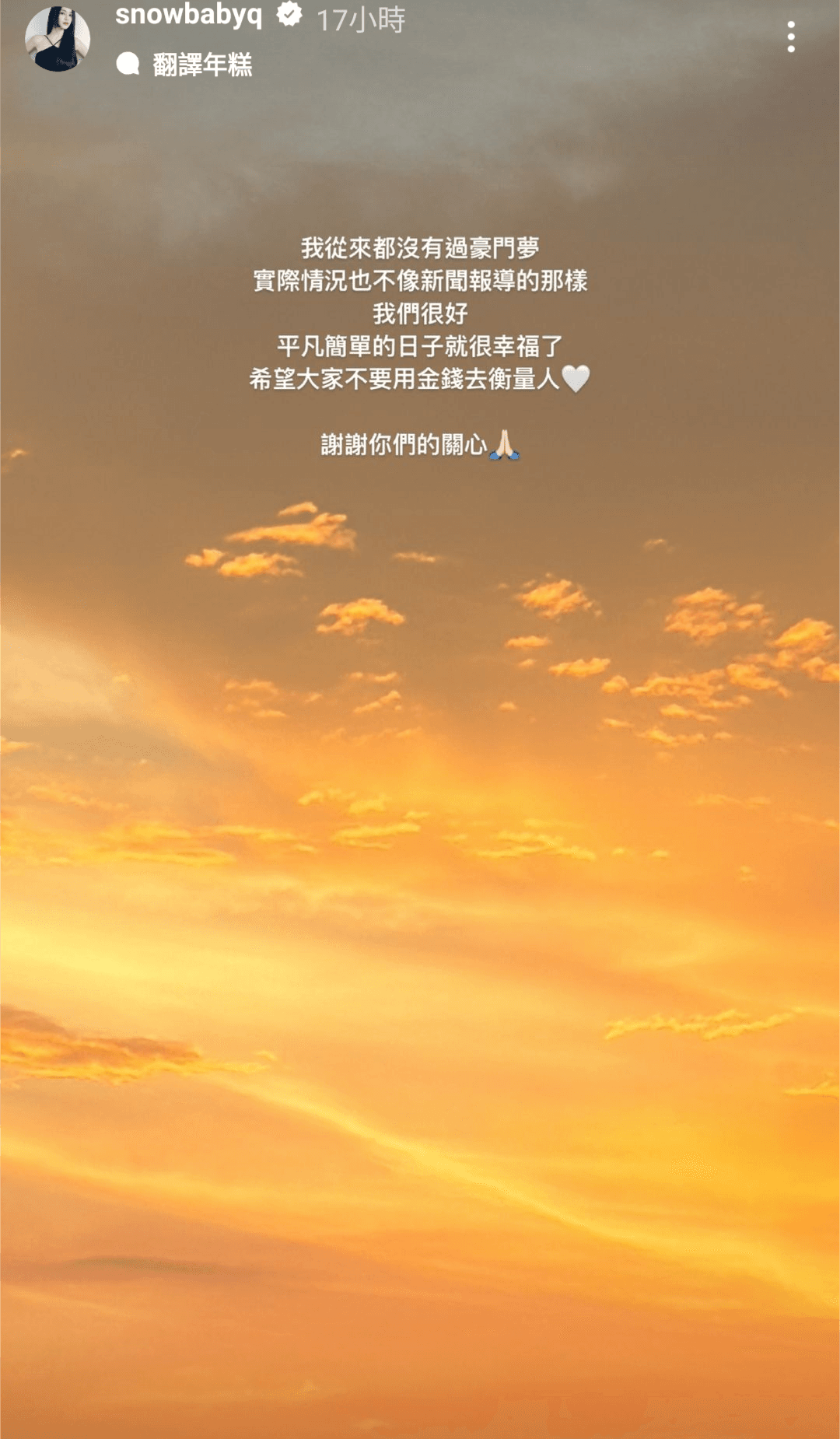 蔡瑞雪發限動表示自己「從來沒有豪門夢」,否認情變。(翻攝自蔡瑞雪IG)
