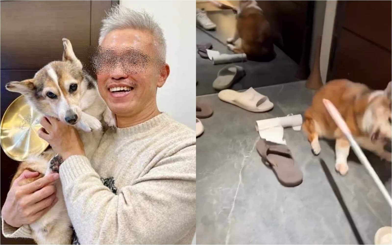 曾獲模範飼主的詹姓男子涉嫌虐待動物躍上新聞版面。(新北動保處/翻攝自Threads)
