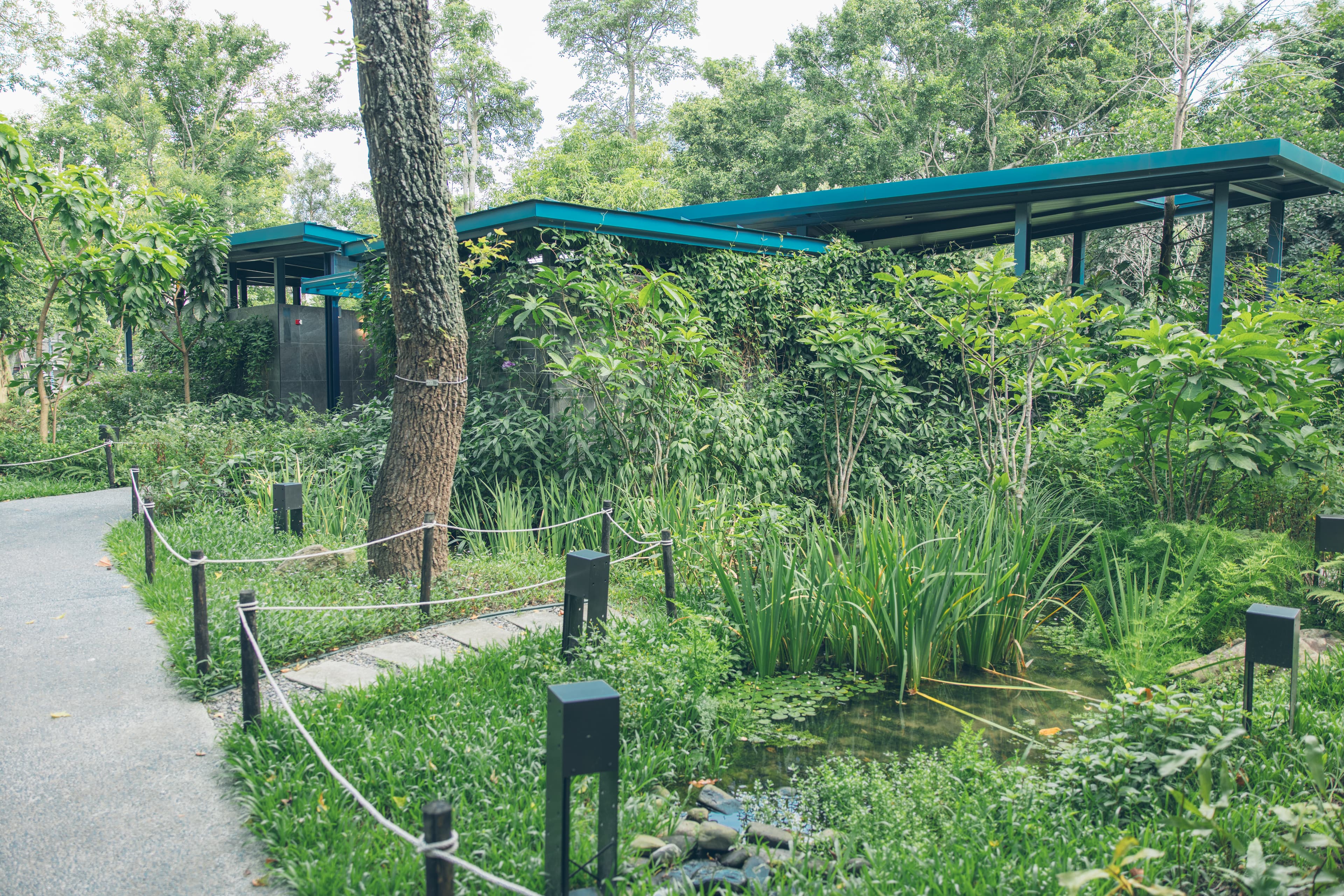 大安森林公園去年6月啟用北市首座生態廁所,兼顧生態和永續成為公廁新典範。(大安森林公園之友基金會提供)