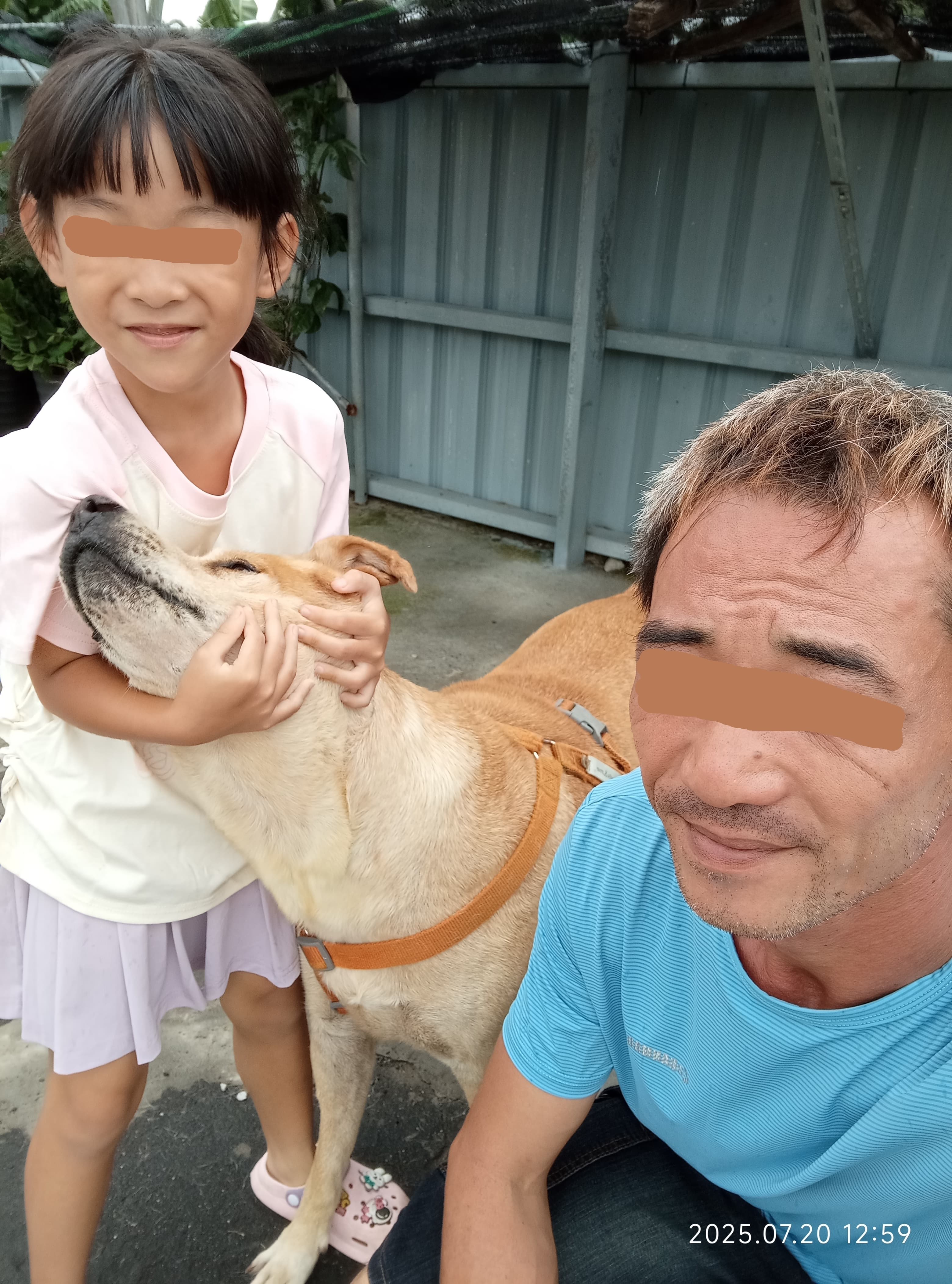 20日中午12時59分,林男、女童和住在阿祖家的老犬合拍照。(韓女提供)