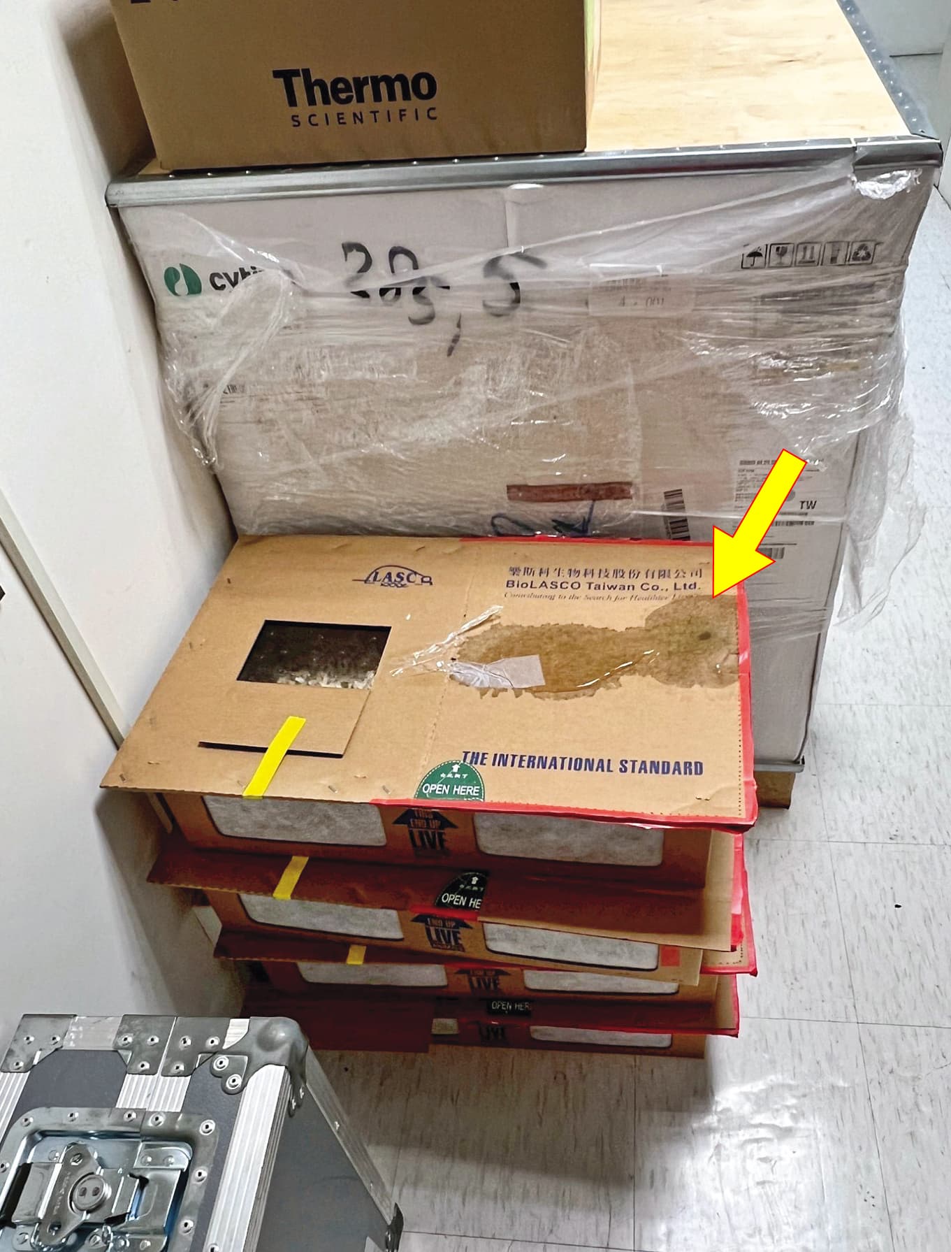 裝白老鼠的紙箱被屎尿浸濕(箭頭處),還堆在地上好幾天。(讀者提供)