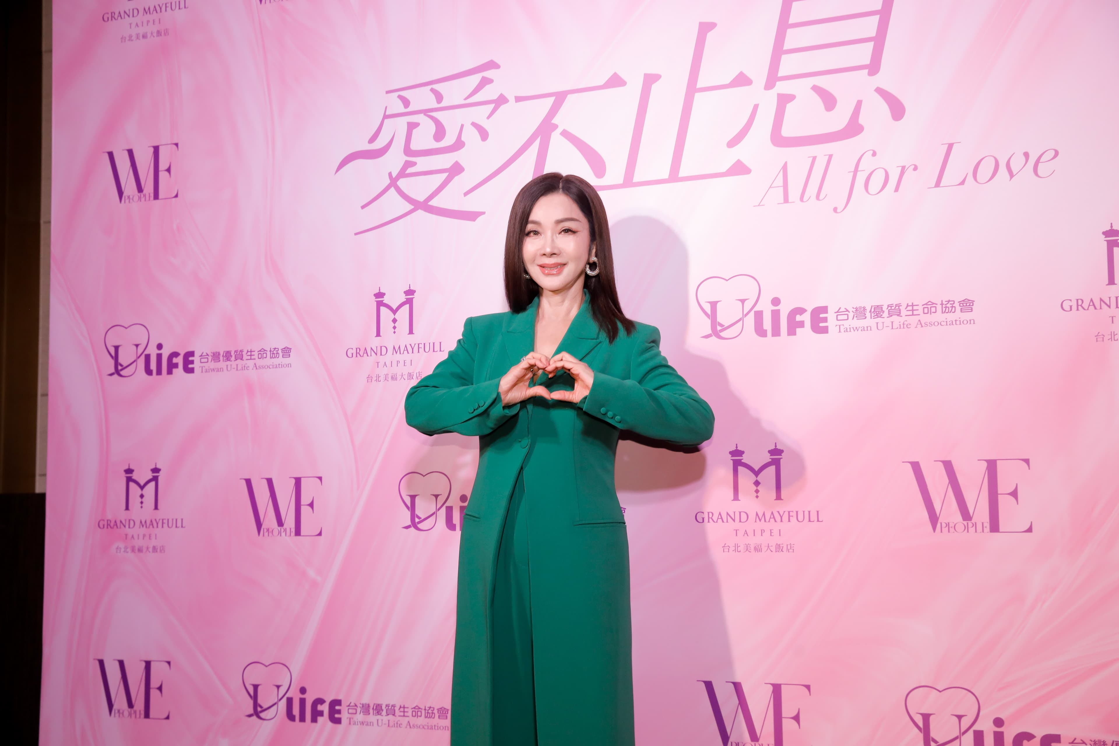 陳美鳳接台灣優質生命協會理事長,坦言募款壓力很大。