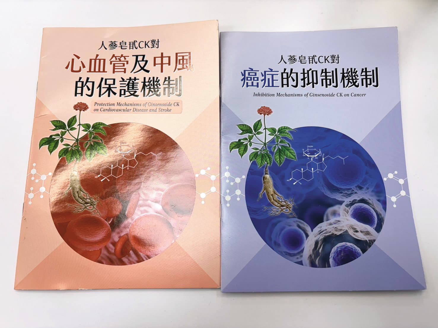 六順診所印製文宣品,向病患說明人參皂甙對中風和癌症的功效。(讀者提供)