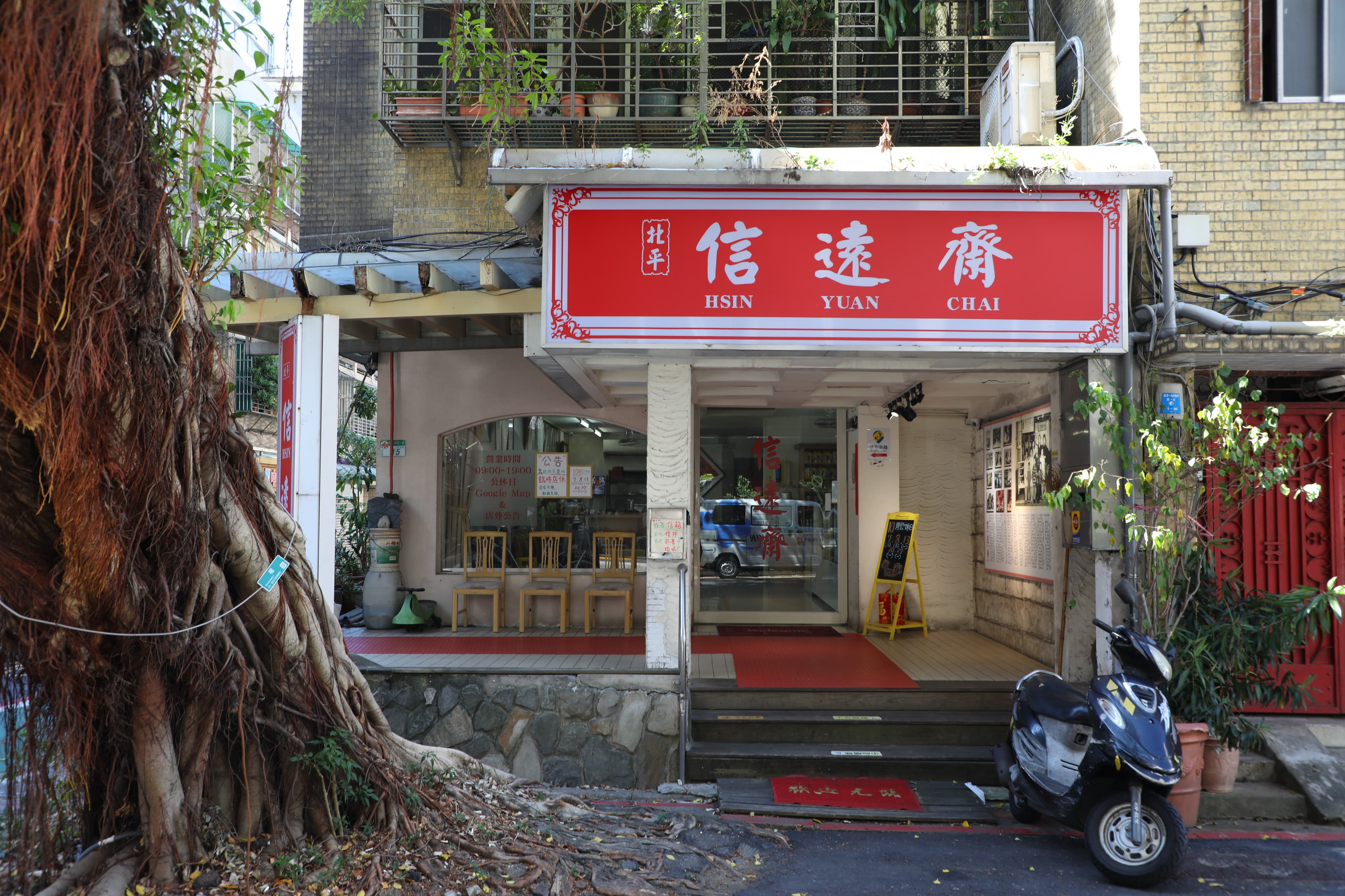 「信遠齋」的門口有一棵老樹,與老店互相輝映。