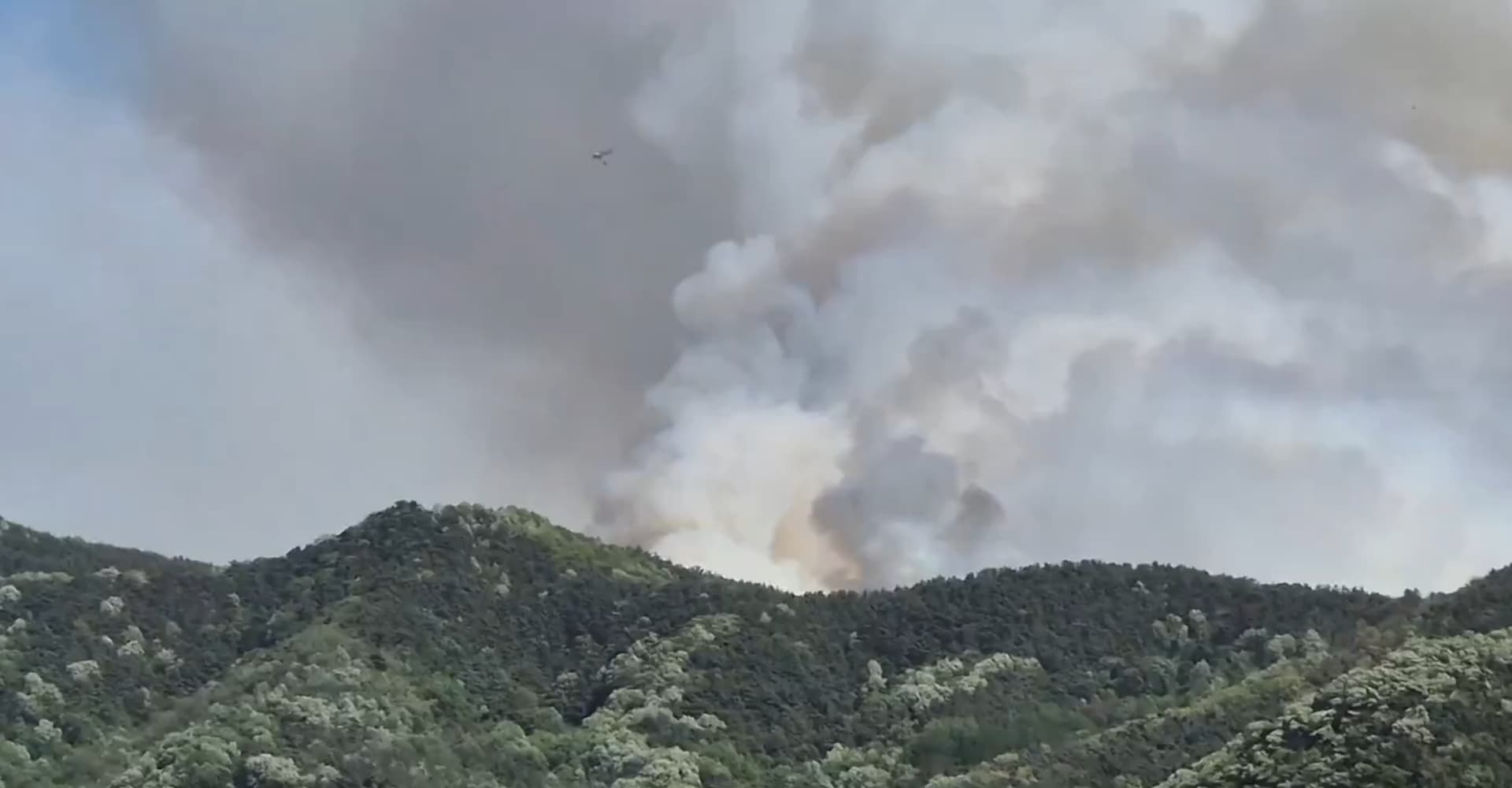 南韓大邱山林大火,遠處可見濃煙。(翻攝X)