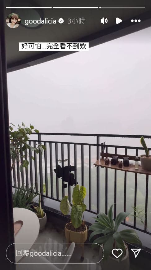 愛莉莎莎出門前拍下外面下大雨畫面,直呼「好可怕」。(翻攝愛莉莎莎IG)