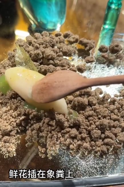 這道名為「鮮花插在香糞上」的甜點是將消毒乾燥後的大象糞便入菜。(翻攝微博)