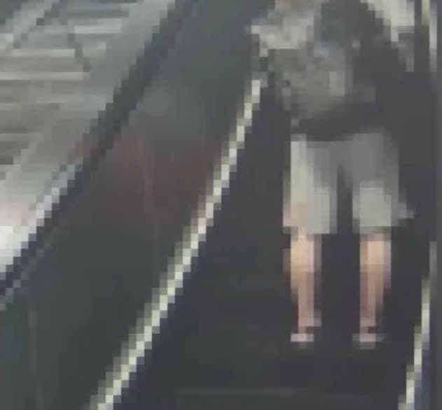 佐佐木貴法今年6月才在中山站偷拍女性裙底被逮。(翻攝畫面)