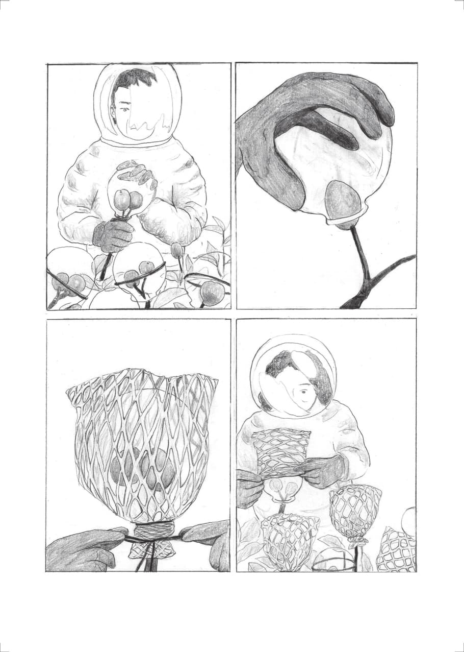 漫畫家劉倩帆繪製〈酒是機率-永不分離的機率〉。(聚場文化提供)